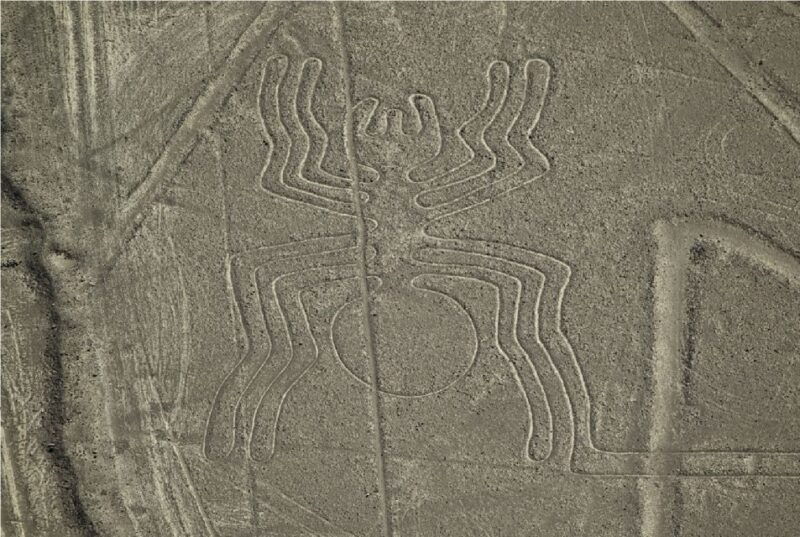 full-day-private-tour-to-pisco-and-nasca-lines-overflight