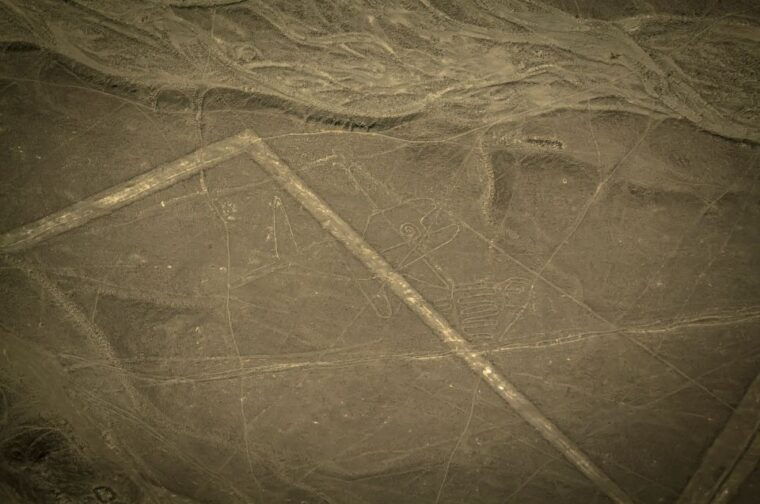 full-day-private-tour-to-pisco-and-nasca-lines-overflight