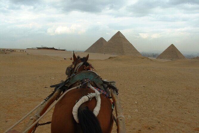 Full-Day Private Tour to Pyramids of Giza and Egyptian Museum - Who Would Benefit Most From This Tour?