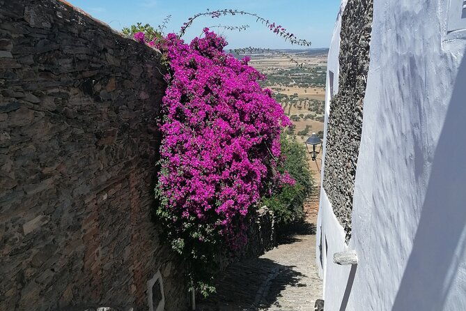 full-day-private-tour-to-sintra-queluz-cabo-da-roca-and-cascais