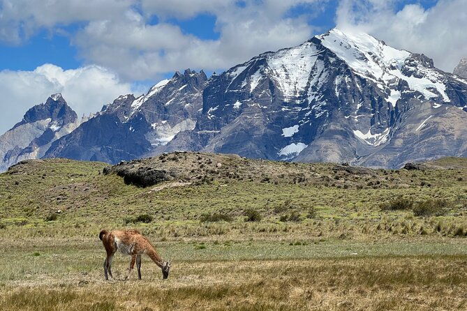 full-day-private-tour-to-torres-del-paine