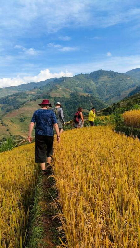 Full Day Private Trekking Mu Cang Chai - Key Points  