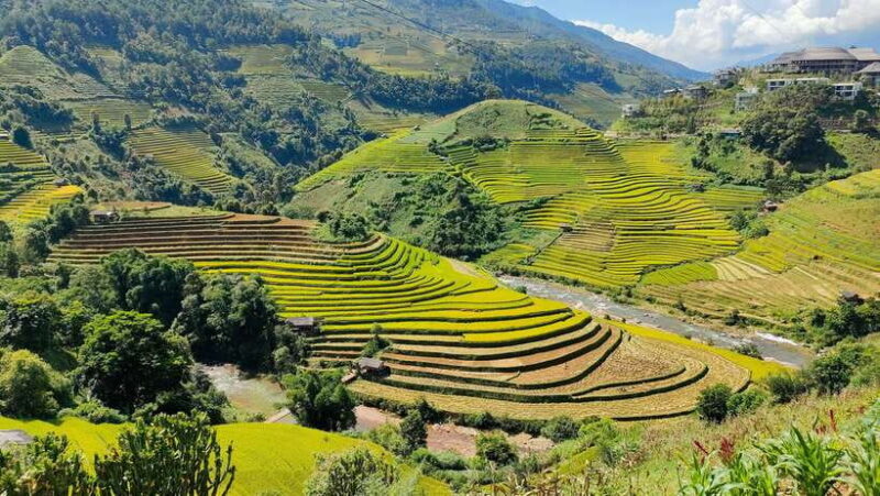 Full Day Private Trekking Mu Cang Chai - FAQs