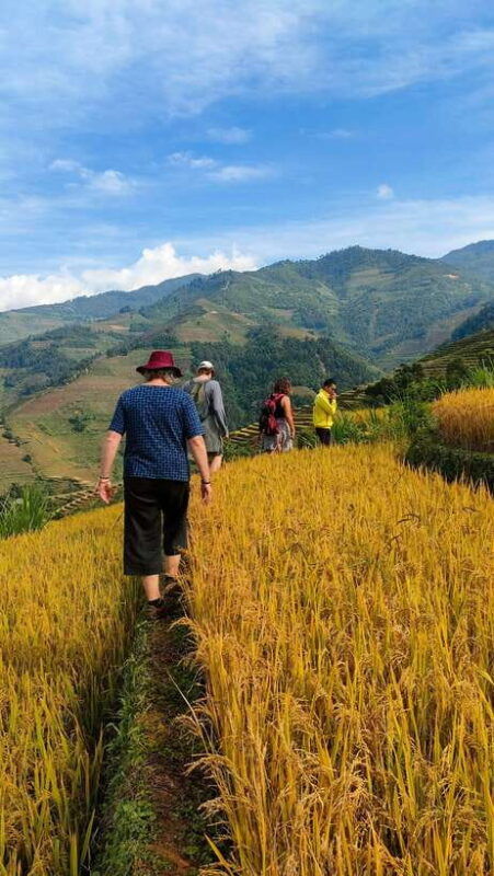 full-day-private-trekking-mu-cang-chai