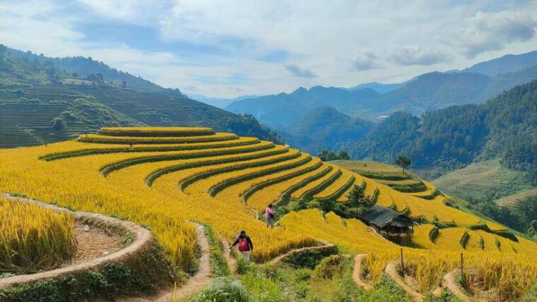 full-day-private-trekking-mu-cang-chai