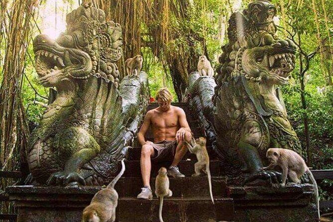 Full Day Private Ubud Tour - All Inclusive - Who Will Love This Tour?