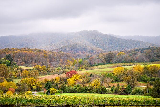 full-day-private-virginia-wine-tour-experience-from-washington