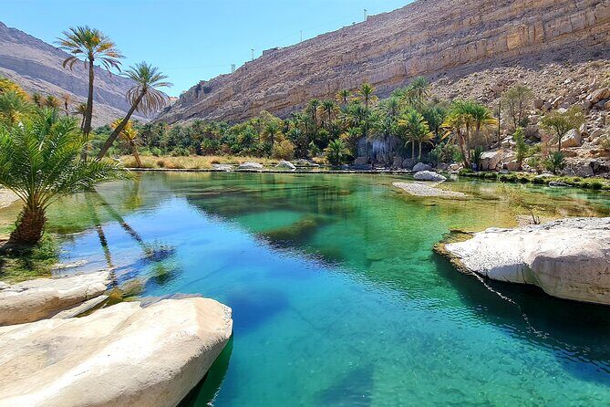 Full-Day Private Wahiba Sands Desert and Wadi Bani Khalid Tour - How the Tour Scores on Value & Experience