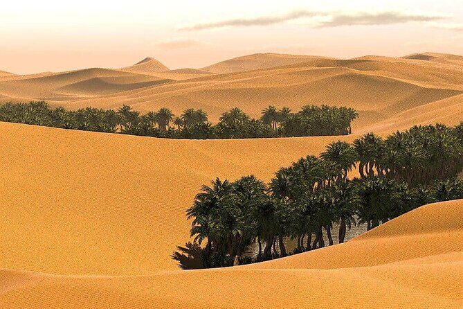 Full-Day Private Wahiba Sands Desert and Wadi Bani Khalid Tour - Final Thoughts