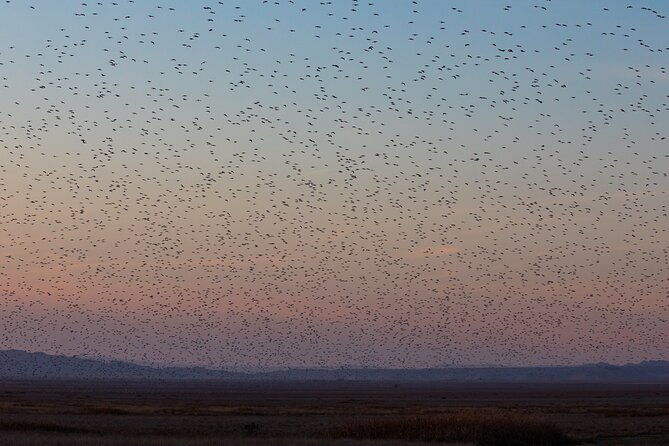 full-day-private-wilderness-tour-in-vashlovani-national-park-2