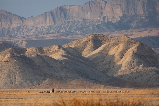 full-day-private-wilderness-tour-in-vashlovani-national-park-2