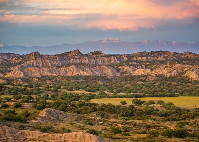 Full-day Private Wilderness tour in Vashlovani National Park - Exploring the Wilderness: A Detailed Look at the Full-day Private Tour in Vashlovani National Park