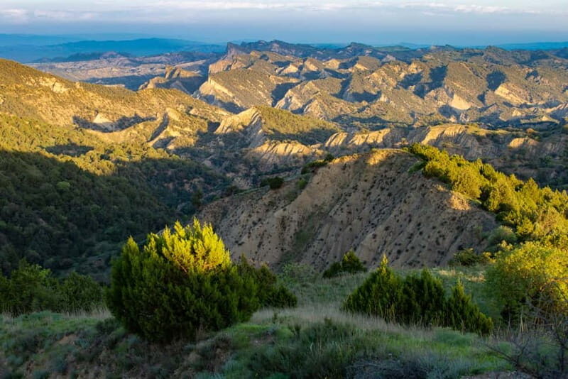 Full-day Private Wilderness tour in Vashlovani National Park - Key Points