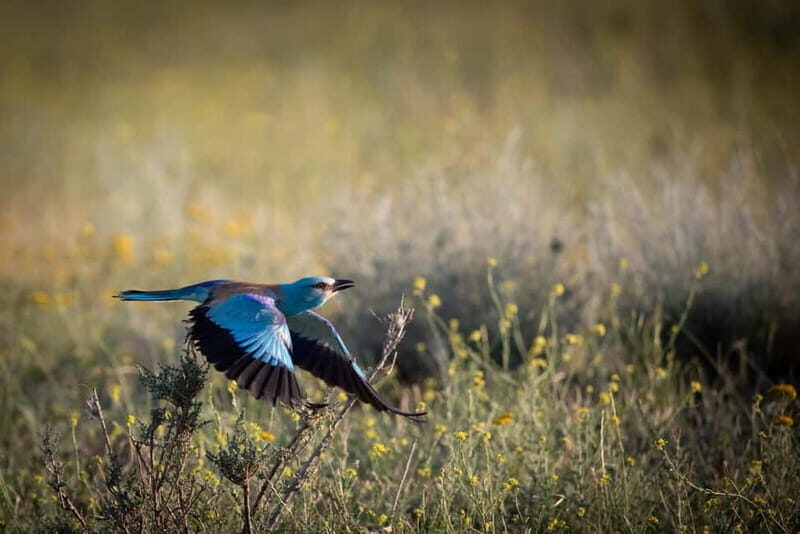 Full-day Private Wilderness tour in Vashlovani National Park - The Experience: What’s Included and What to Prepare