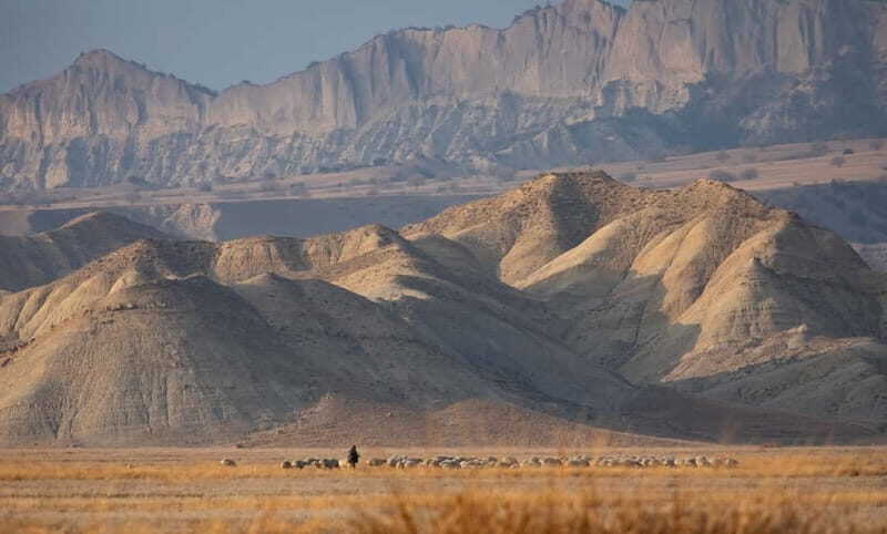 Full-day Private Wilderness tour in Vashlovani National Park - Why This Tour Is a Great Choice