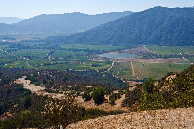 full-day-private-wine-tour-casablanca-valley-from-santiago