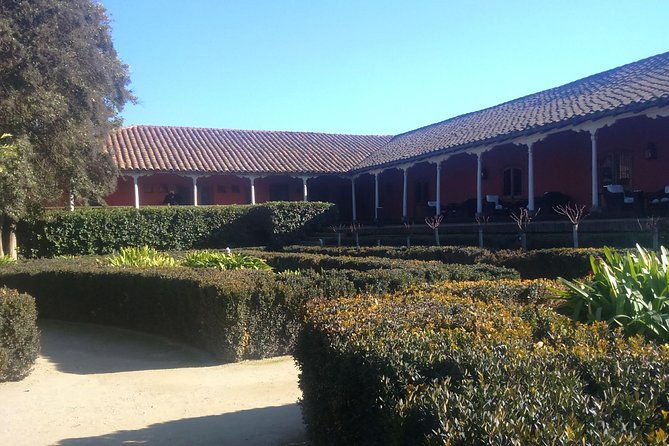 full-day-private-wine-tour-casablanca-valley-from-santiago