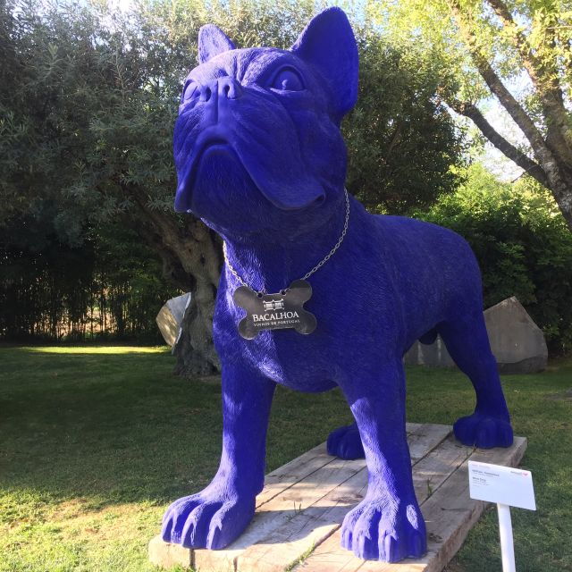 full-day-private-wine-tour-in-arrabida-2