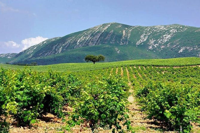 full-day-private-wine-tour-in-arrabida