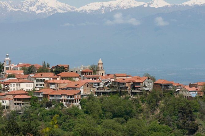 Full Day Private Wine Tour in Kakheti Region with Lunch and 3 Wine Tastings - Key Points