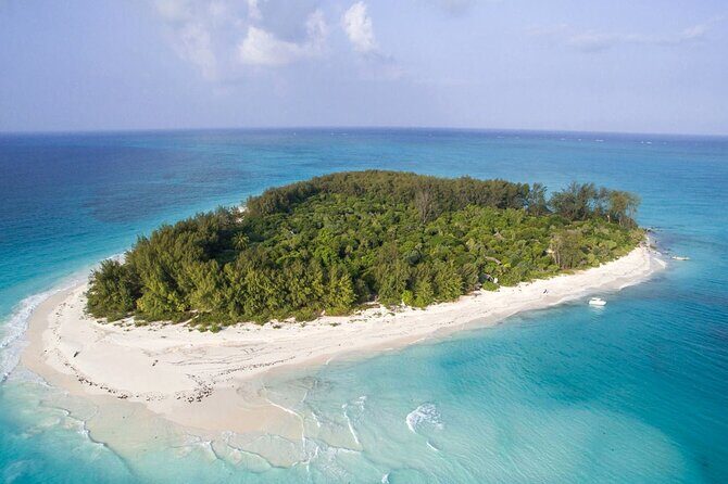 Full - Day Private Zanzibar Tour with dolphins & Sunset Beach - Introduction