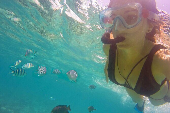 Full - Day Private Zanzibar Tour with dolphins & Sunset Beach - The Sum Up