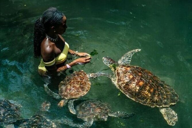 Full Day Private Zanzibar Tour with Sunset Beach - Key Points