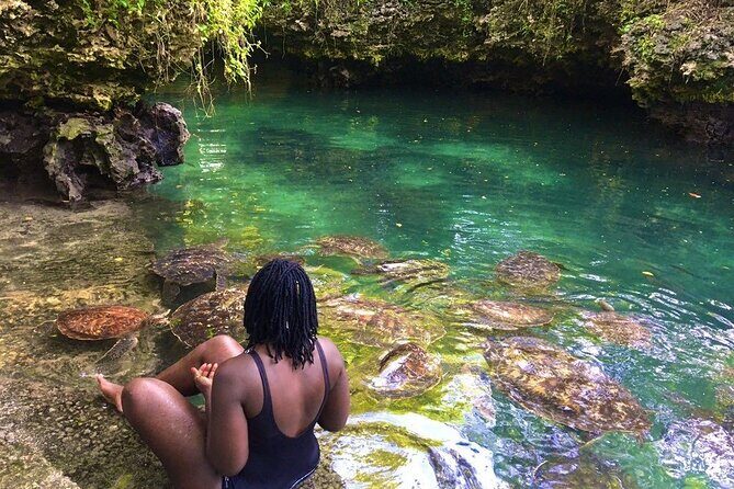 Full Day Private Zanzibar Tour with Sunset Beach - Exploring Zanzibar’s Marine Wonderland