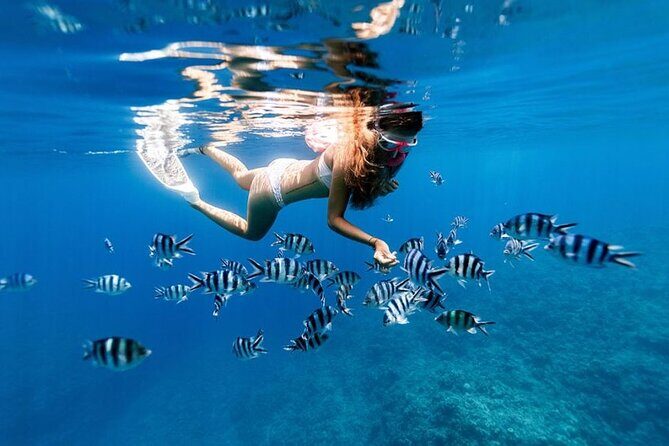 Full Day Private Zanzibar Tour with Sunset Beach - The Sum Up: Who Should Book This Tour?