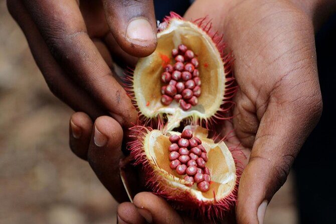 Full Day Private Zanzibar Triple Delight Tour - Final Thoughts: Who Is This Tour For?