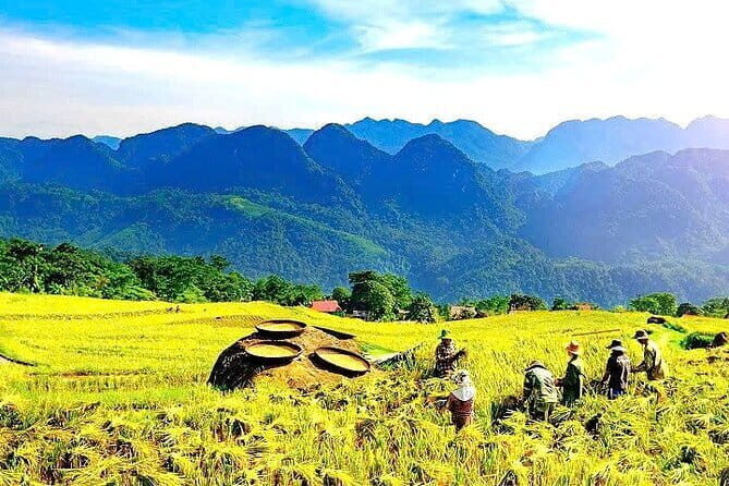 Full Day Pu Luong with Cycling, Cooking Class, Buffalo Cart Ride. - Exploring the Magic of Pu Luong in a Day