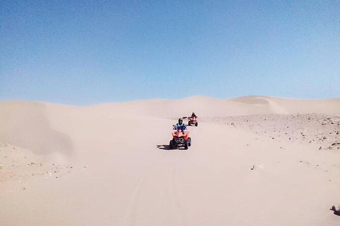 Full-Day Quad bike Adventure from Essaouira to Sidi Kaouki - What to Expect from the Full-Day Quad Bike Tour