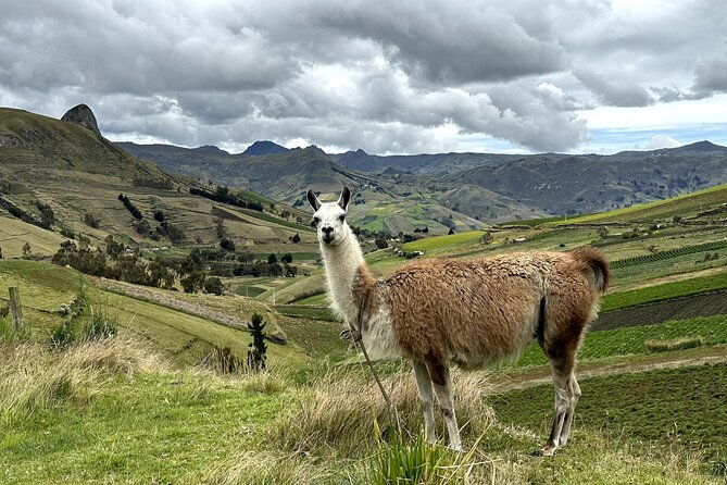 full-day-quilotoa-lake-tour-from-quito