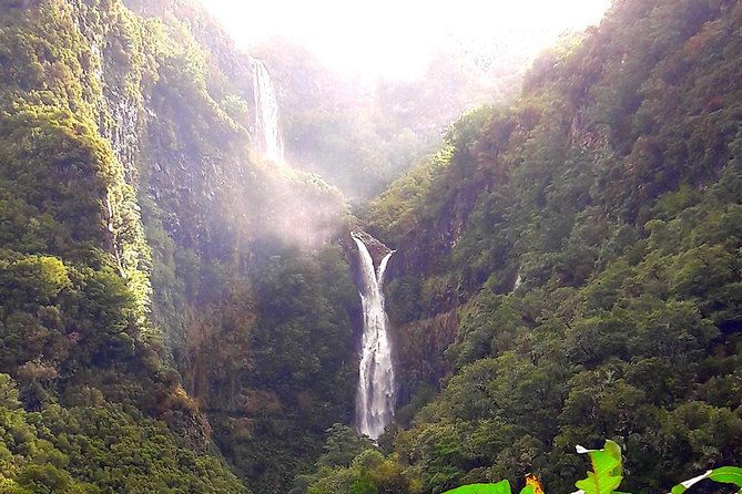 full-day-rabacal-levada-walk-from-funchal
