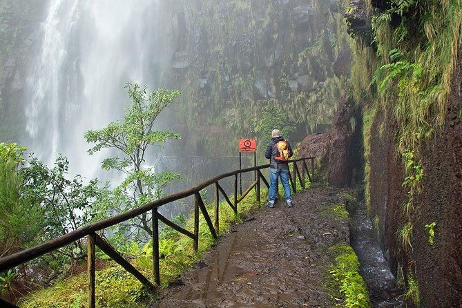 full-day-rabacal-levada-walk-from-funchal