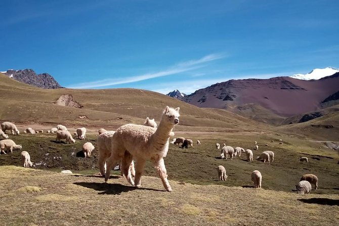 full-day-rainbow-mountain-adventure-with-2-hour-atv-ride