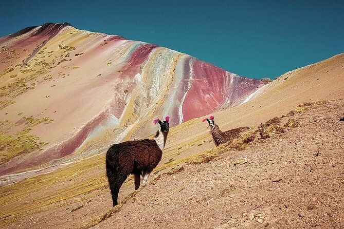 full-day-rainbow-mountain-tour-from-cusco-with-hotel-transfer