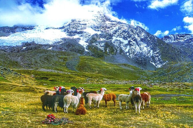 full-day-rainbow-mountain-tour-group-service