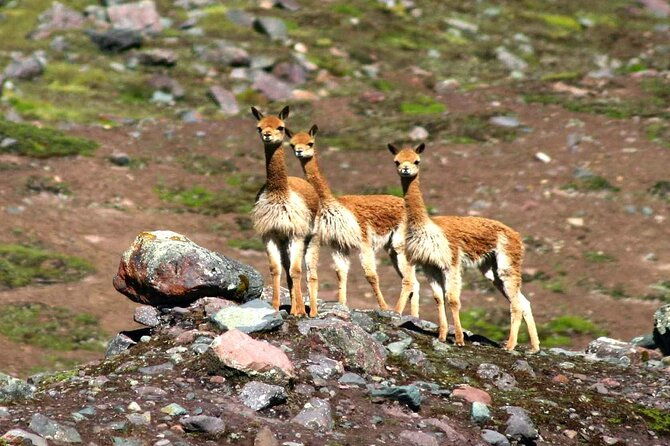 full-day-rainbow-mountain-tour-group-service