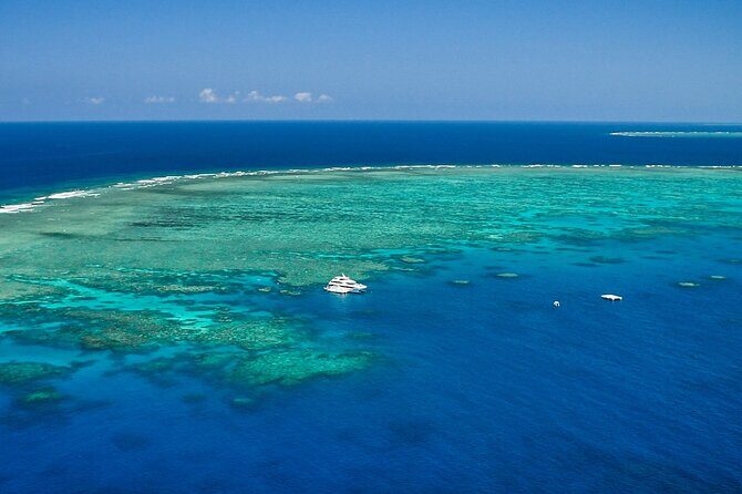 Full Day Reef Cruise and 10 Minute Helicopter Scenic Flight - What Makes This Tour Stand Out
