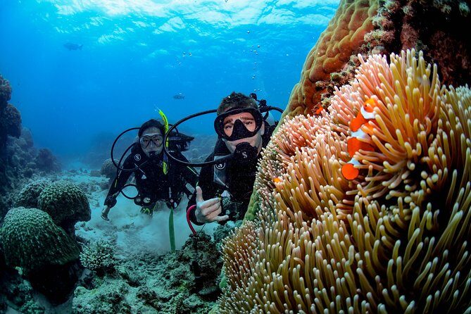 Full Day Reef Cruise and 10 Minute Helicopter Scenic Flight - FAQ