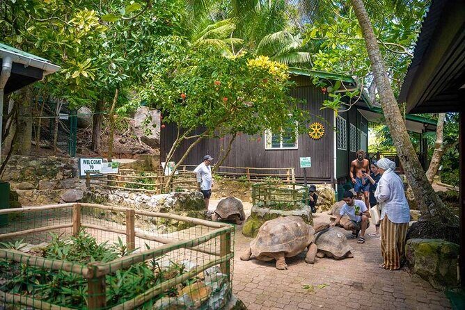 Full Day Reef Safari at St Anne Marine Park Seychelles - An In-Depth Look at the Reef Safari Experience