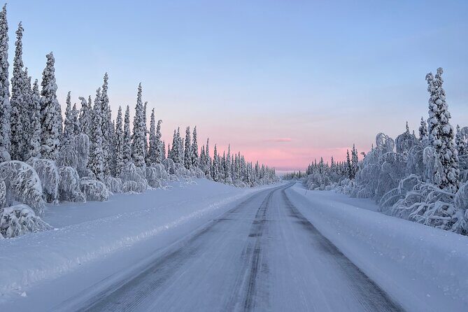 Full-Day Reindeer Tour with Pickup in Kiruna - Who Will Love This Experience?
