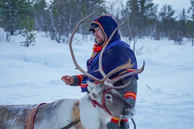 Full-Day Reindeer Tour with Pickup in Kiruna - FAQs