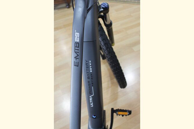 full-day-rental-of-electric-mountain-e-bike