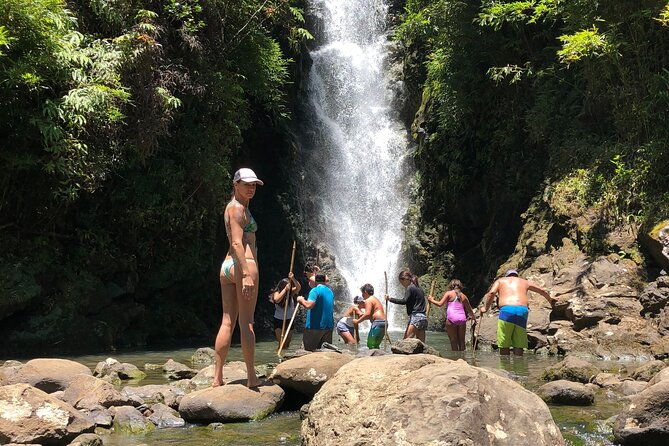 full-day-road-to-hana-and-waterfall-tour