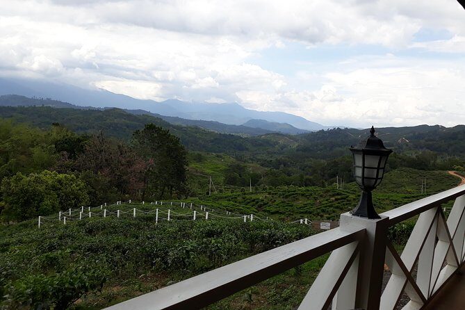 Full Day Sabah Tea Plantation & WWII Memorial - Authentic Experiences and Real-World Insights