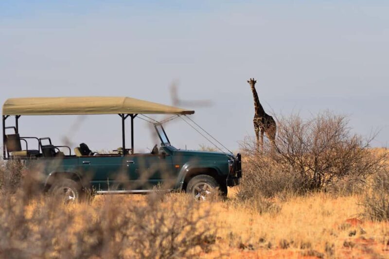 Full Day Safari Adventure in Chobe From Victoria Falls - Key Points