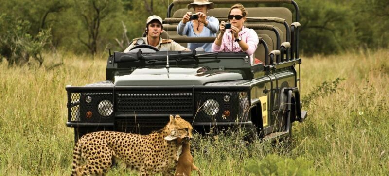 Full Day Safari Adventure in Chobe From Victoria Falls - Authentic Experiences and Reviews
