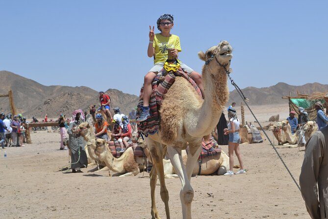 Full Day Safari ATV Quad, Camel Ride & Bedouin Dinner- Hurghada - FAQ